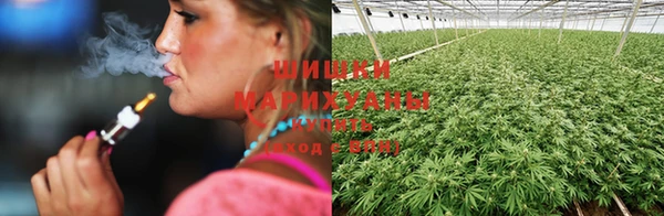ГАЛЛЮЦИНОГЕННЫЕ ГРИБЫ Щучье