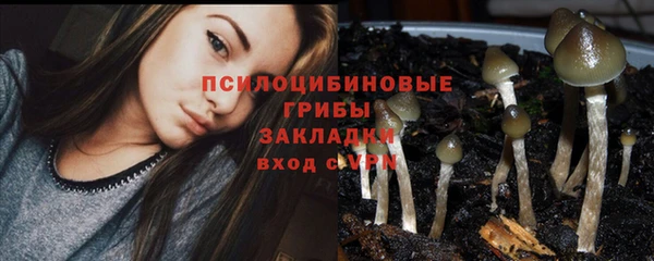 соль курить ск Нея