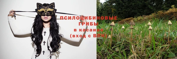 трава Нефтегорск