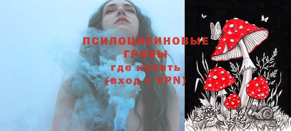 соль курить ск Нея