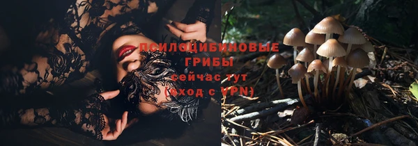 соль курить ск Нея