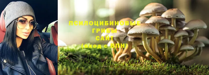 Галлюциногенные грибы Magic Shrooms  Миньяр 